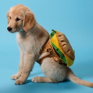 Meet your Posher, Dylan